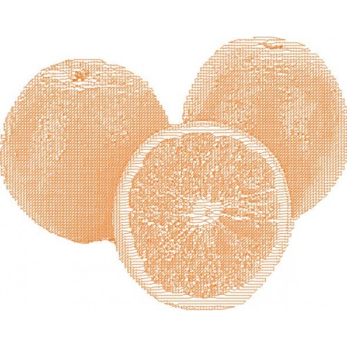 Файл вышивки Апельсины