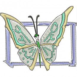 Китайская бабочка