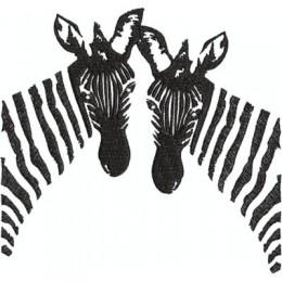 Зебры-близнецы