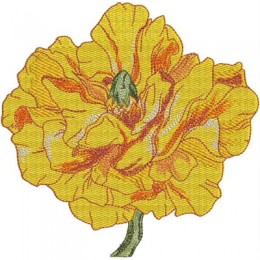 Весенний желтый цветок