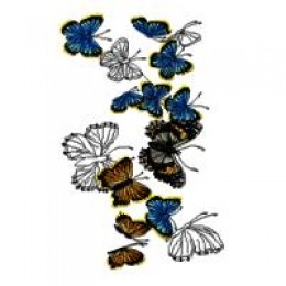 Бабочки 02