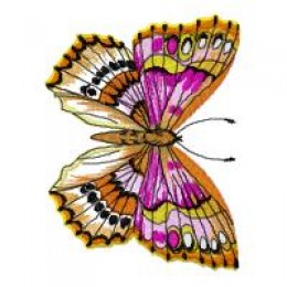 Бабочки 01