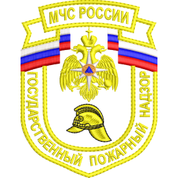 Государственный пожарный надзор МЧС России