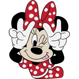 Mini mouse