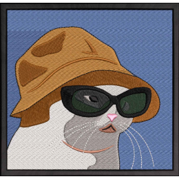 Mem Cat in Glasses and Panama/ Кот в очках и панаме