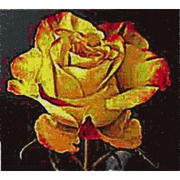 Желтая роза картина