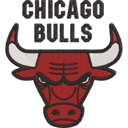 CHICAGO BULLS