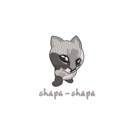 Chapa-chapa
