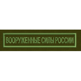 Вооруженные силы России полевая