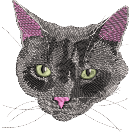 Серый кот с розовым носиком