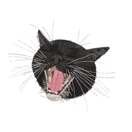 Черный котик зевака