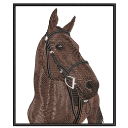 Лошадь темно-коричневая портрет
