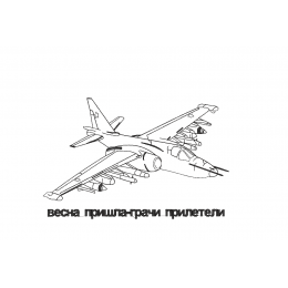 Грачи прилетели  самолет истребитель