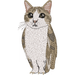 Лава-лава котосова