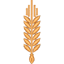 Колосок маленький