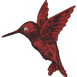 Колибри в полете