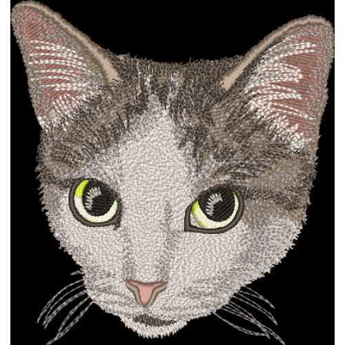Файл вышивки Мордочка кошечки домашней 