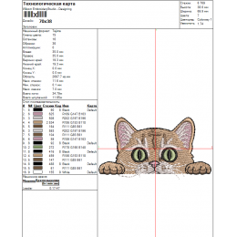 кот котик выглядывает 