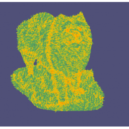 Файл вышивки Собачка на травке