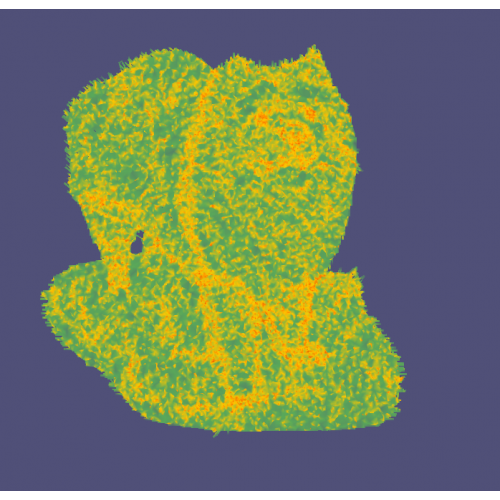 Файл вышивки Собачка на травке