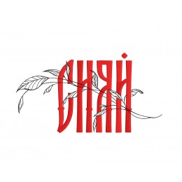 Файл вышивки Сияй оберег