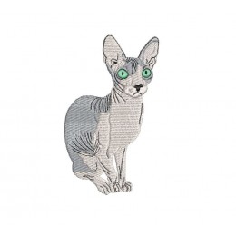 Лысый кот сфинкс