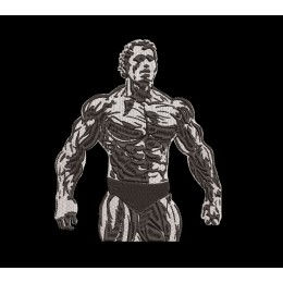 Арнольд бодибилдер