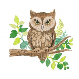 Сова на ветке сидит