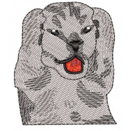 Котик мем 1