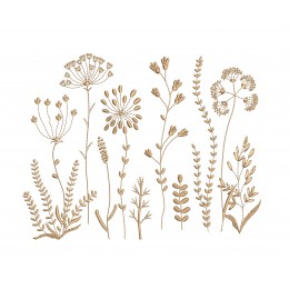 Полевые травы