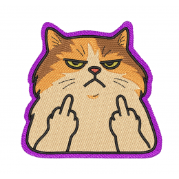 Недовольный Кот