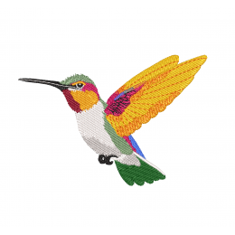 Тропический колибри