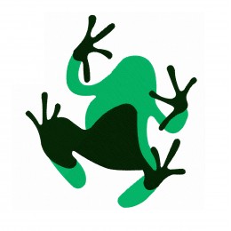 Лягушка (вид снизу)