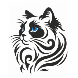 Голубоглазый котик