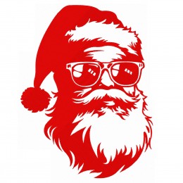 Дед мороз в очках