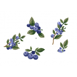 Набор дизайнов "Черника"