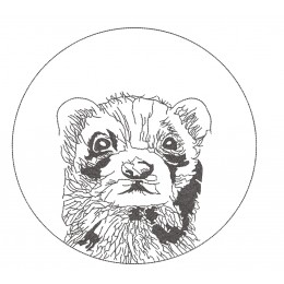 Хорек в кружочке