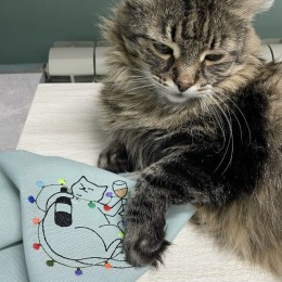 Файл вышивки Кот-сомелье (Новогодняя версия)