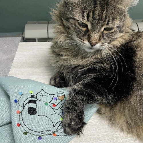 Файл вышивки Кот-сомелье (Новогодняя версия)