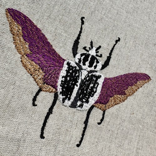 Файл вышивки Жук-голиаф