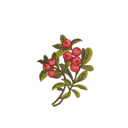 Файл вышивки Ягода Клюква