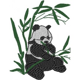 Панда ест бамбук