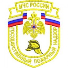 Официальные шевроны