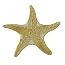 Морская звезда 2