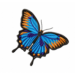 Бабочка Парусник