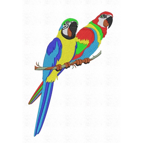 Файл вышивки попугаев парочка