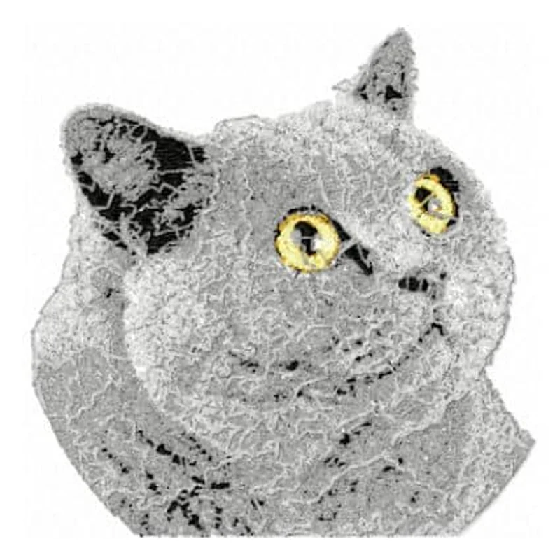 Британская кошка