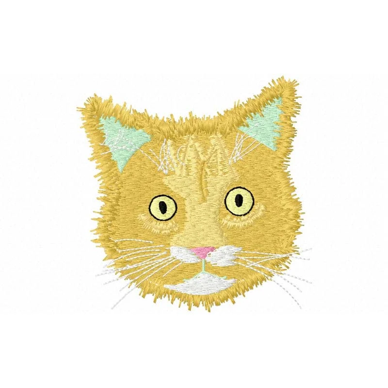 Кот Егорка