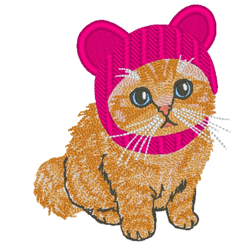 Кот в шапке