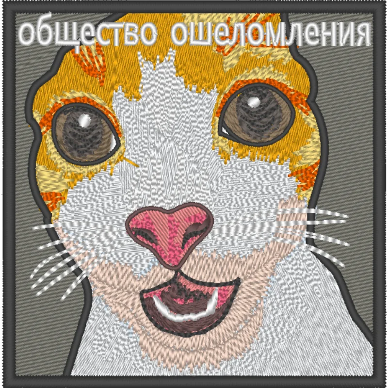 Котик удивленный